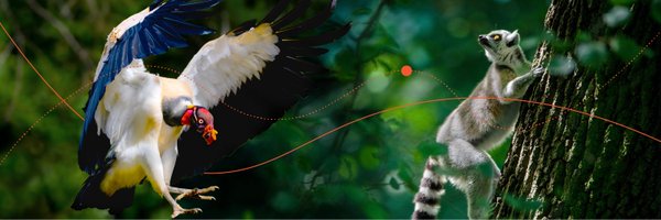 _eobs_ Profile Banner