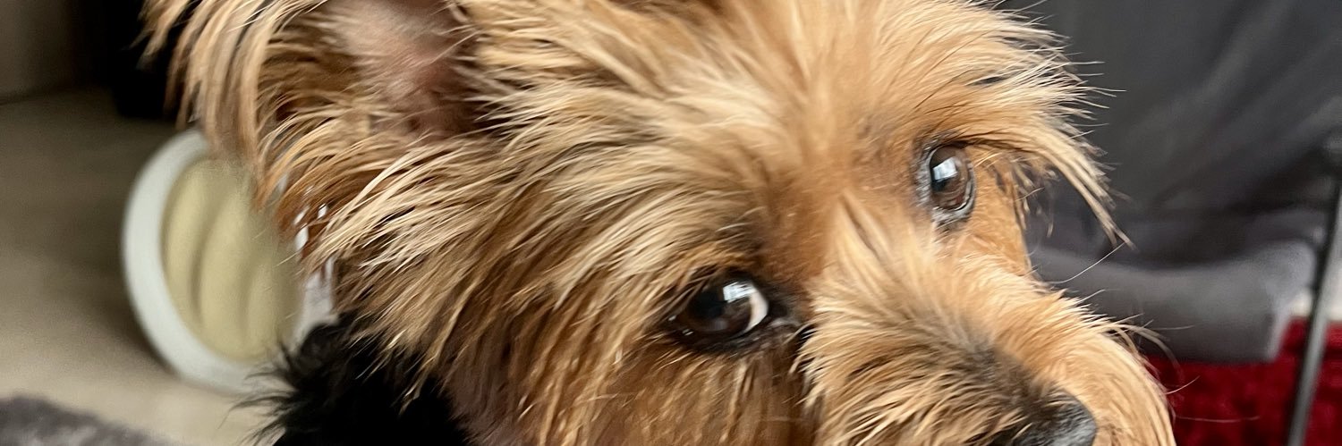 PADREAMADOS1's profile banner image