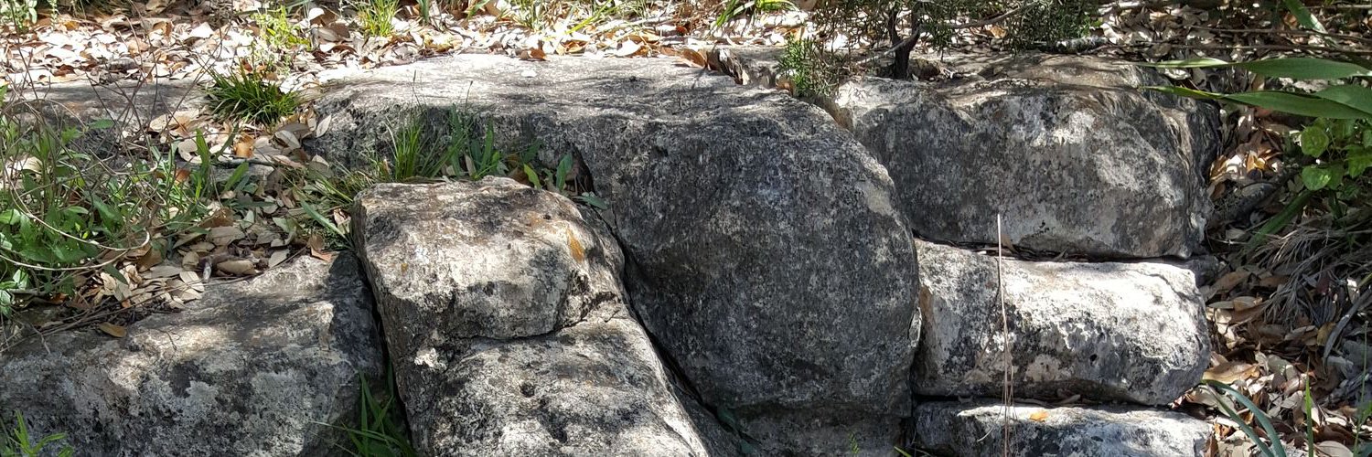 frederickwalser's profile banner image