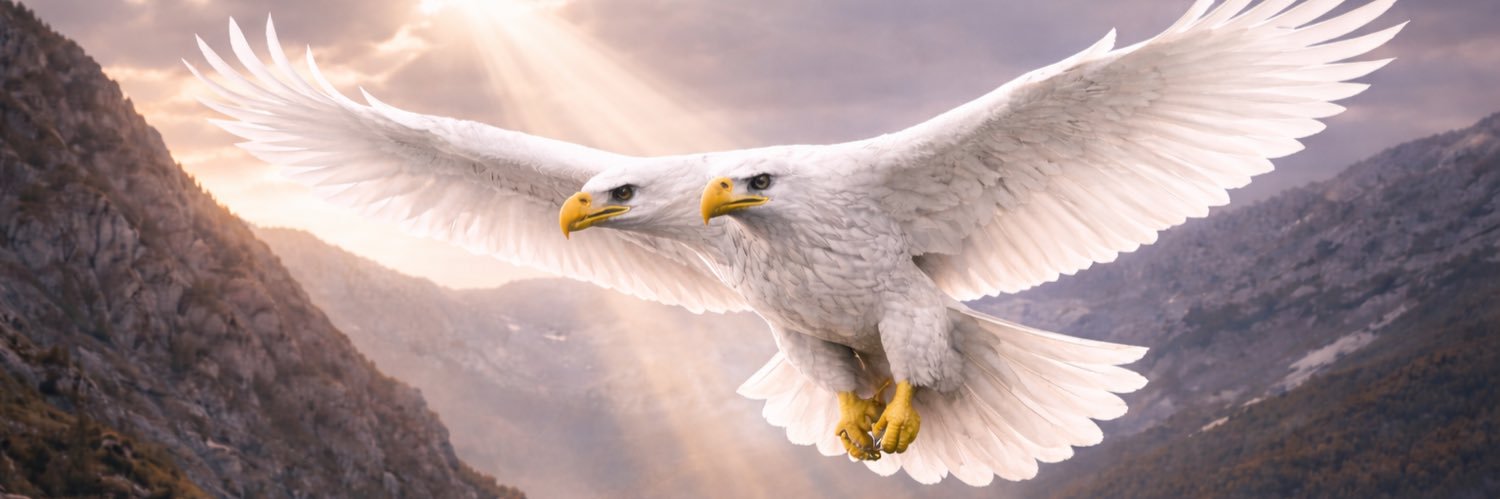 PAS 🇷🇸 🇺🇸 ☦️ banner