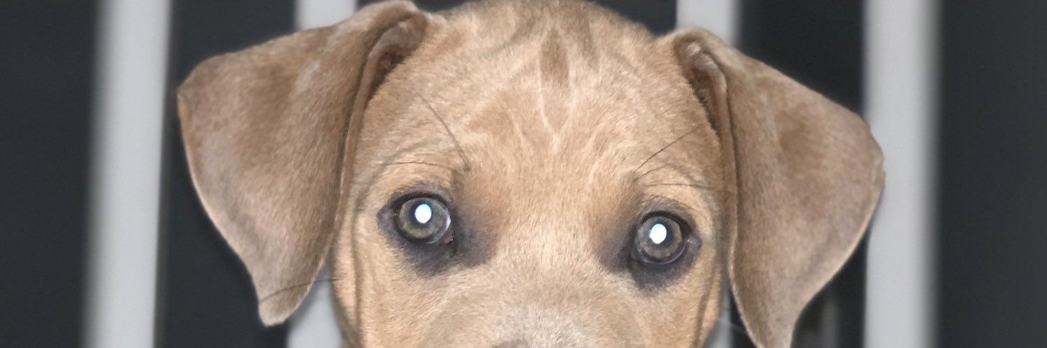 Mj🥰💨 banner