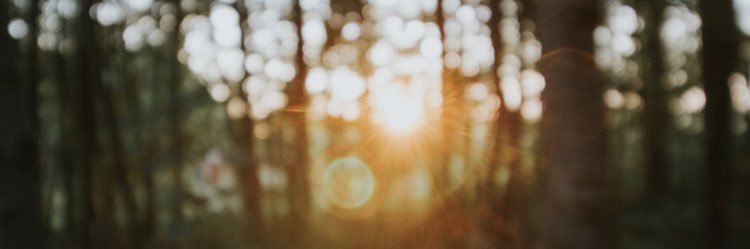 ClaireVal_D's profile banner image
