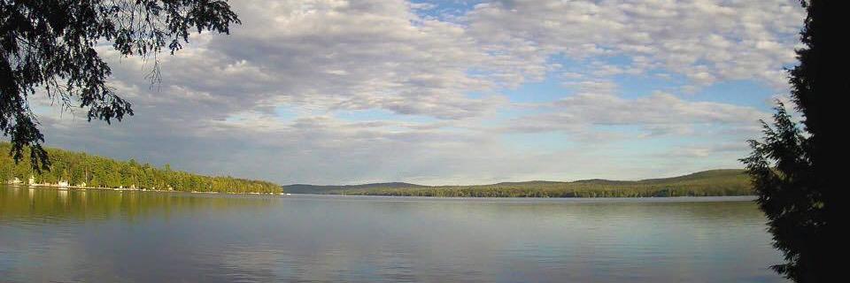 Donna Doble-Brown banner