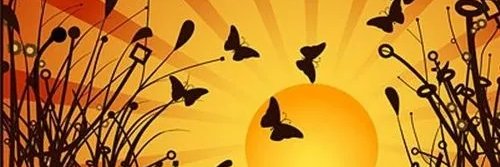 Jayde.eth🦇 banner