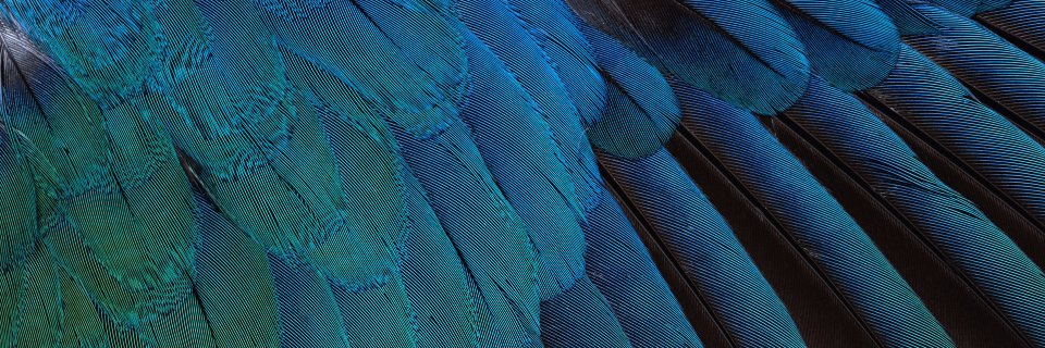CubRunArt's profile banner image