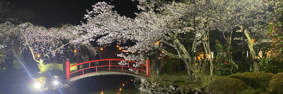 〆aki〆@釣り.サマナ banner