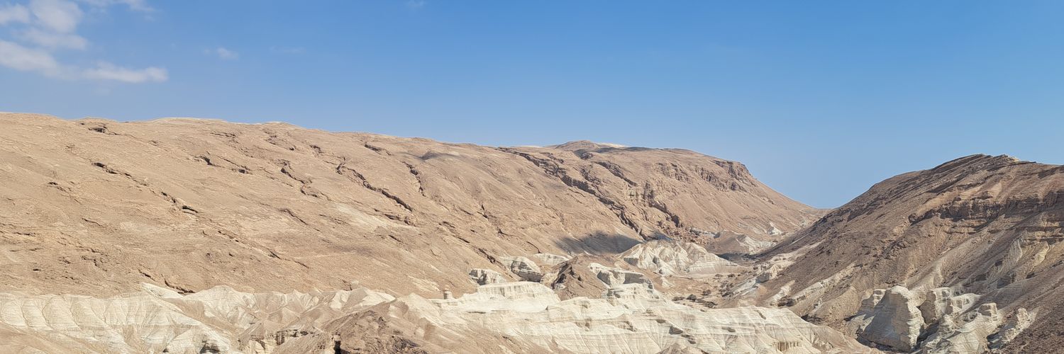 Serrenissimo's profile banner image