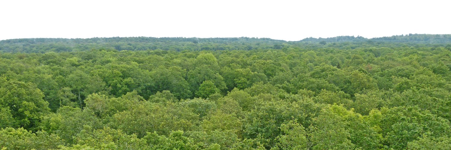 Matt Wilkinson banner