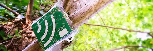 AudioMoth Profile Banner