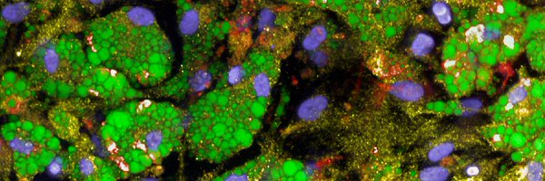 Roberts_Lab Profile Banner
