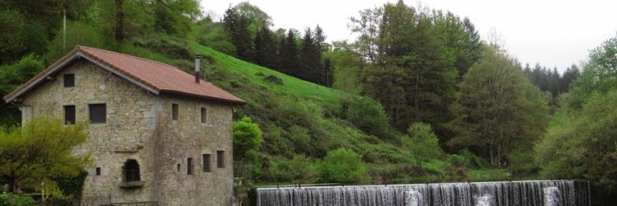 Itziar Ayerdi banner
