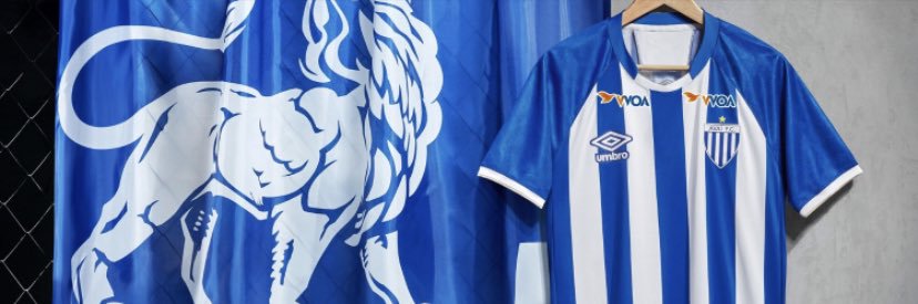 Rafael banner