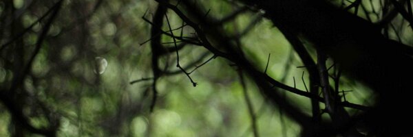nishanknoor Profile Banner