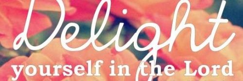 Martha Andrade banner