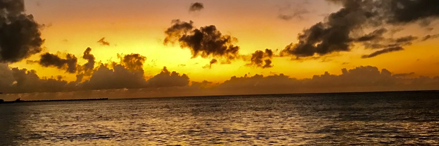 rodrigobrunella's profile banner image