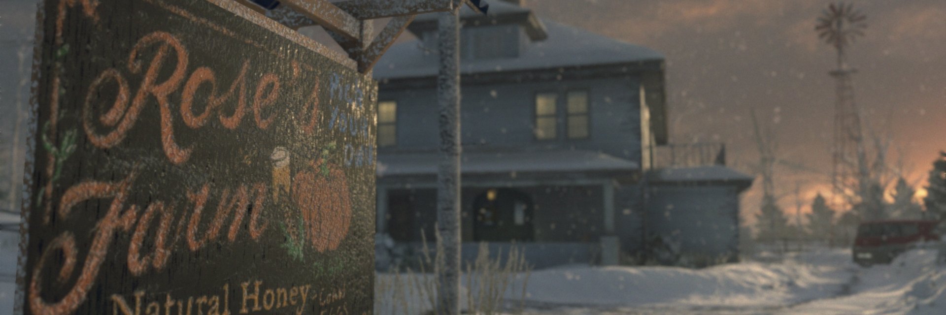 coconut shark's banner