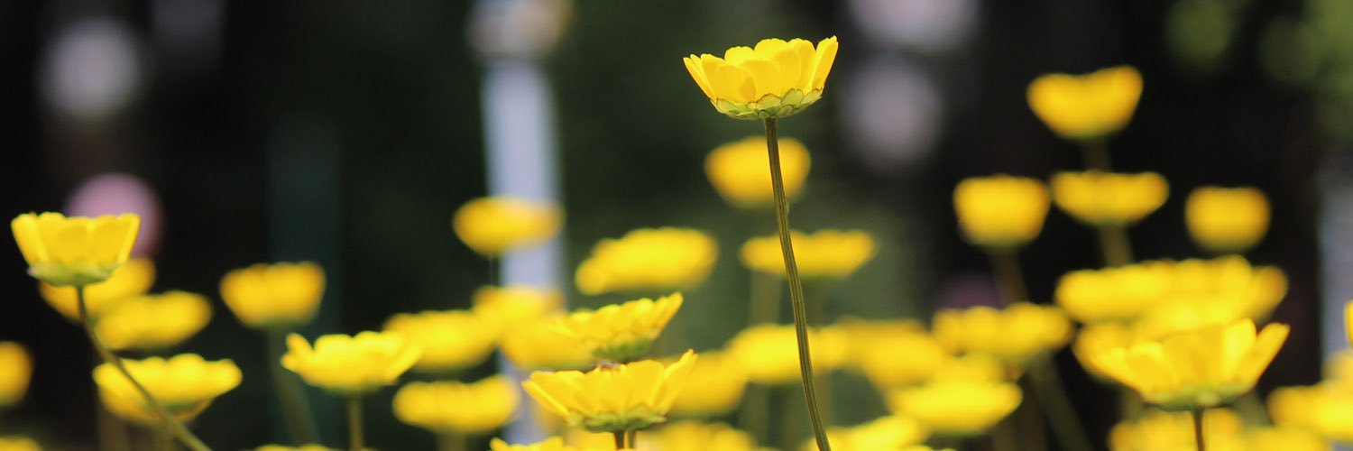 youary2's profile banner image
