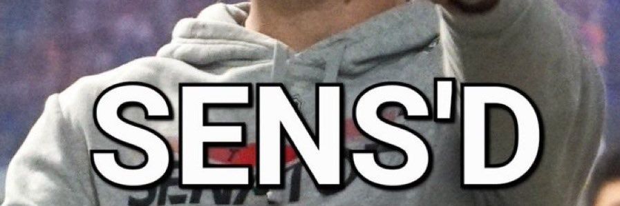 Your Local Ottawa Fan banner