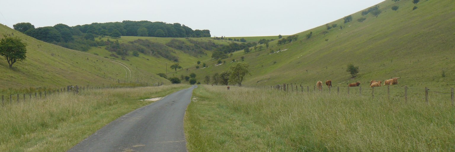 Yorkshire Wolds Cycling banner