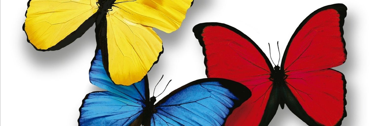 MaraRoyett's profile banner image