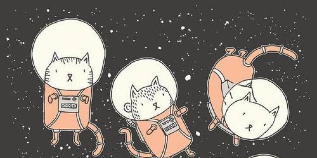 KindaScout's profile banner image