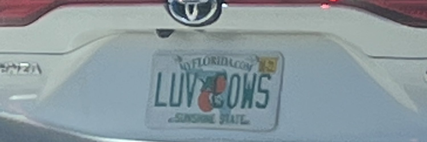 jillian🌞🪸 banner