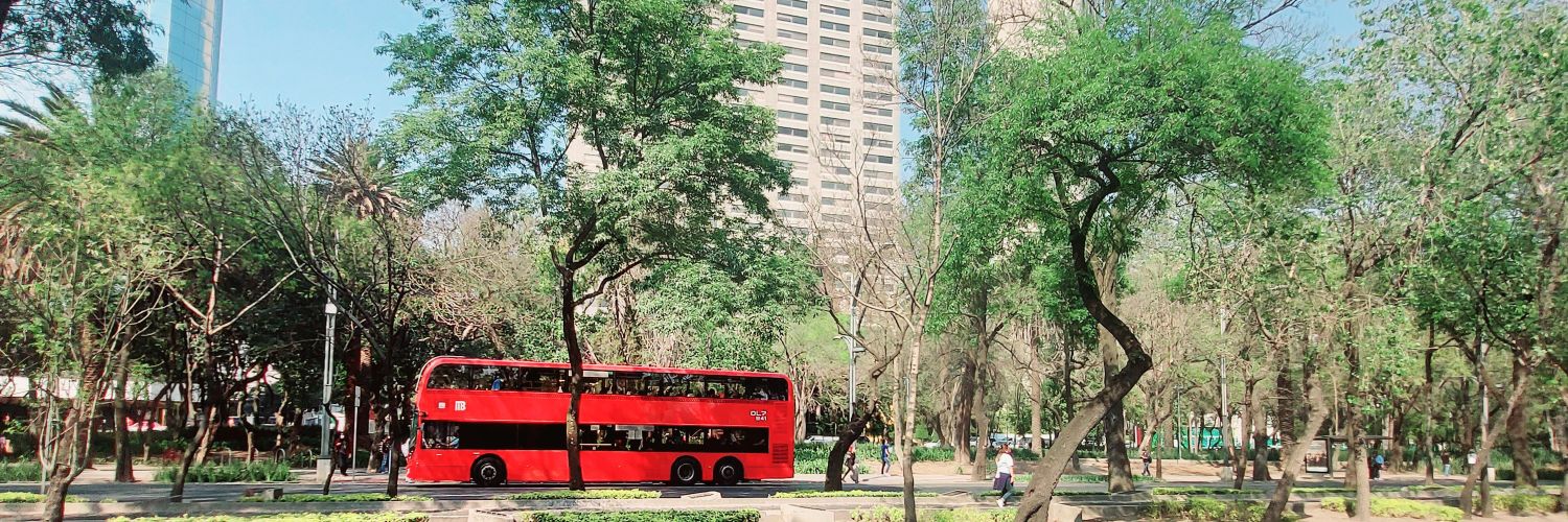 Stephanie Carrasco banner