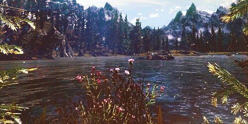 Peterm1994's profile banner image