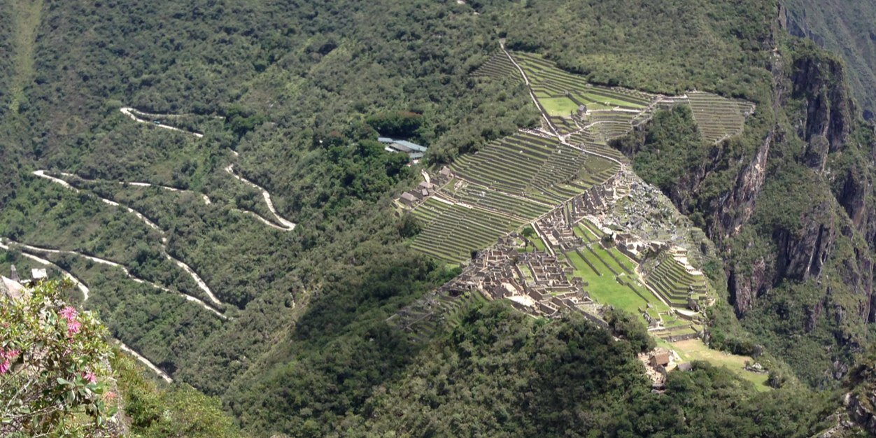 M.Cristina Glez banner