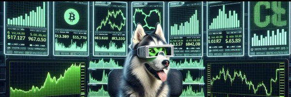 cpapino Profile Banner