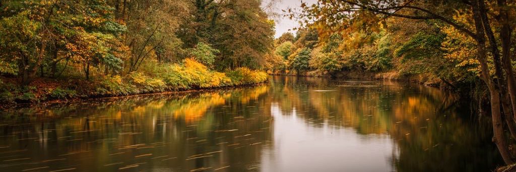 Keep Cathays Tidy banner