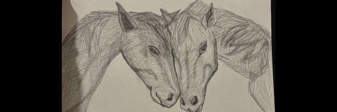 llixi67's profile banner image