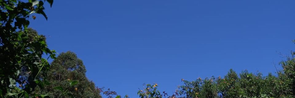 itswendyjay's profile banner image