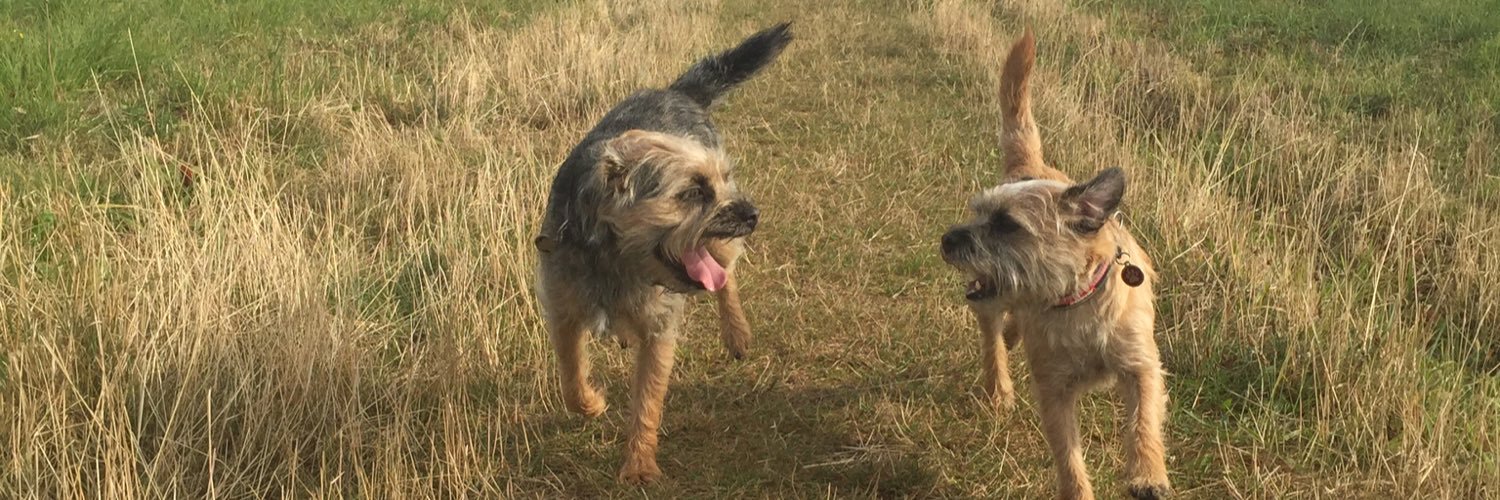 BTNellBert's profile banner image