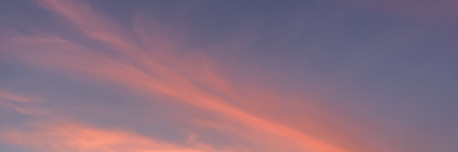 sofiizanetta's profile banner image