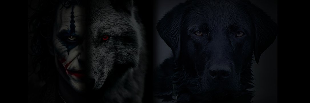 fortysixandtwo banner