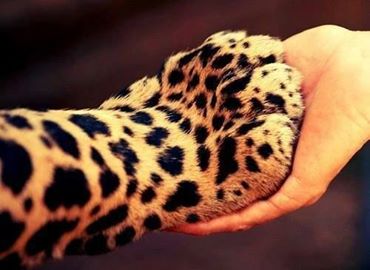 MDanielaG1's profile banner image