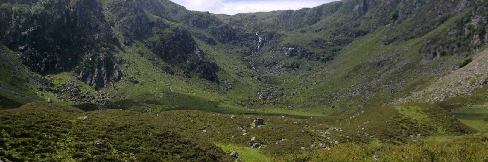 WillyInglis's profile banner image