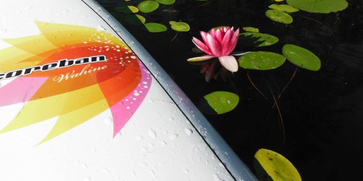 paddlefishsup's profile banner image
