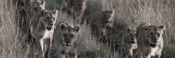 _SESociety Profile Banner
