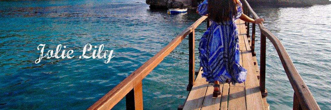 JolieLilyBlog's profile banner image