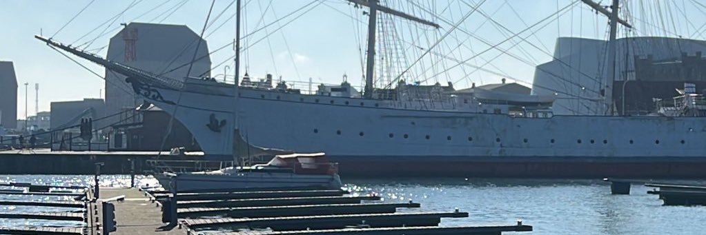 Katzenprinzessin Runa banner