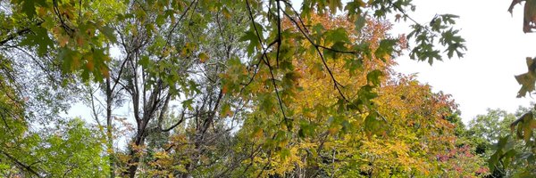 mayaliberman1 Profile Banner