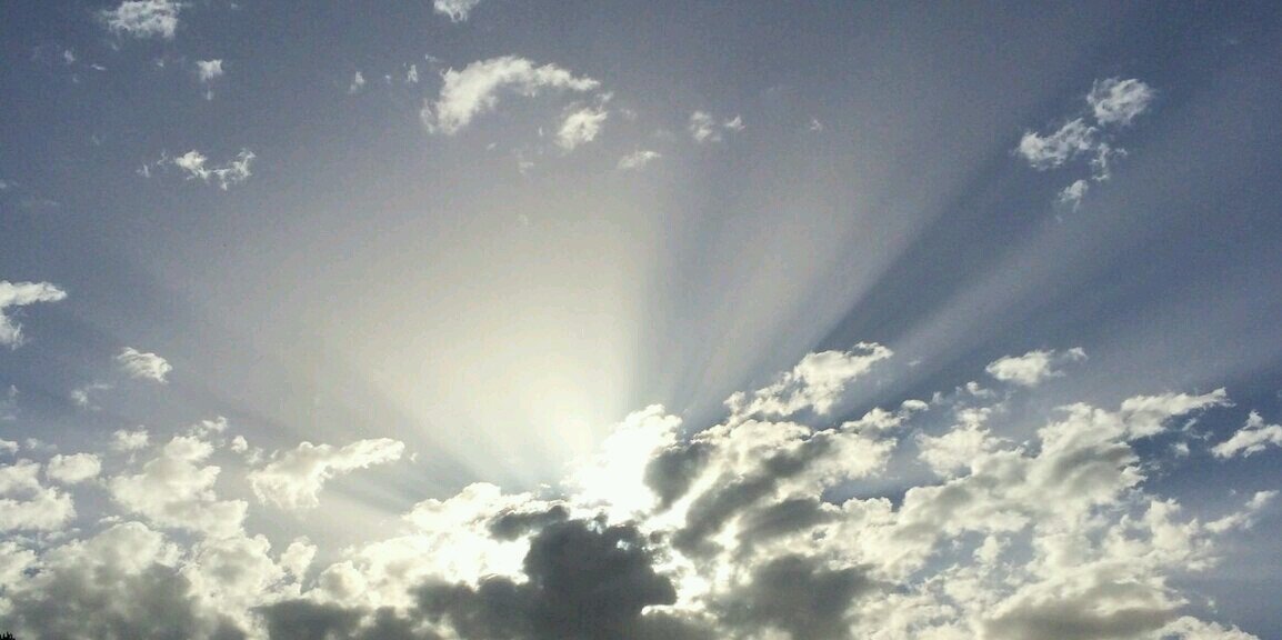 Claudia Ruffini banner