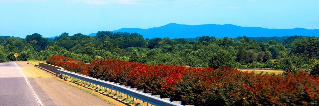 Lilly Gutierrez banner