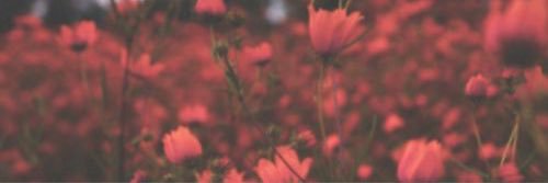 CharryftEdwards's profile banner image