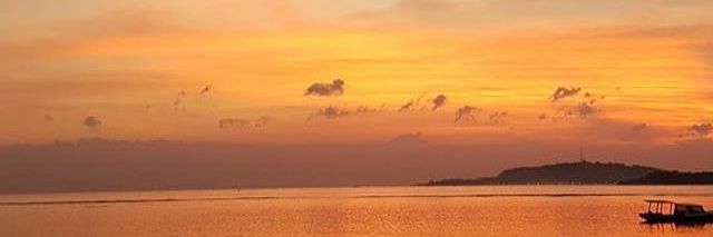 djenkz's profile banner image