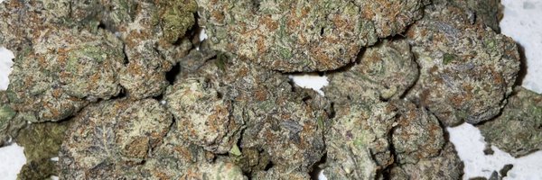 weednsnacks Profile Banner