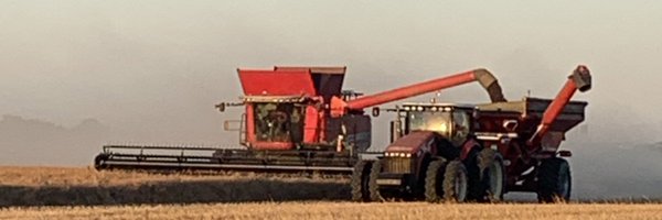 donmclean14 Profile Banner