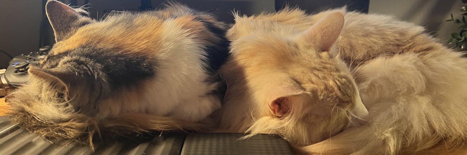 🦋 hayleigh.dev banner